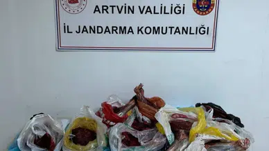 Artvin Kemalpaşa'da 60 kilo yaban domuzu eti ele geçirildi
