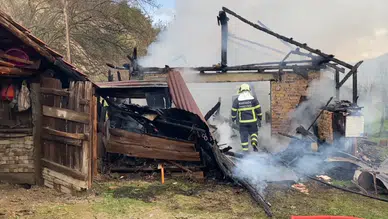 Karabük'te müştemilat yangını : 2 yavru köpek telef oldu