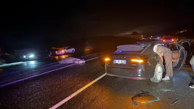 Bingöl'de otomobil ata çarptı : Yaralılar var