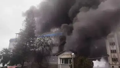 Trabzon'da fındık fabrikasında yangın çıktı : Çok sayıda ekip sevk edildi