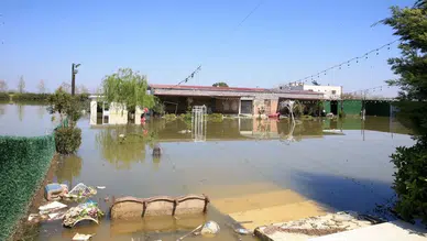 Manisa'da Gediz ve Nif Çayı taştı : Tarım arazileri ve bağ evleri göle döndü