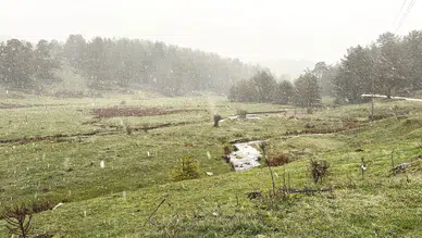 Bolu'da sıcaklıklar düştü, nisan ayında kar yağdı