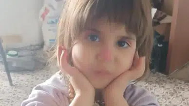 Bitlis'te 4 yaşındaki kayıp kız çocuğu Rabi için arama çalışması başlatıldı