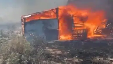 Ayvalık'ta ahırda korkutan yangın