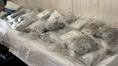 Kapıkule sınırında uyuşturucu operasyonu : 47 kilo 910 gram kokain ele geçirildi