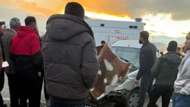 Hakkari'de zincirleme kaza : 11 kişi yaralandı