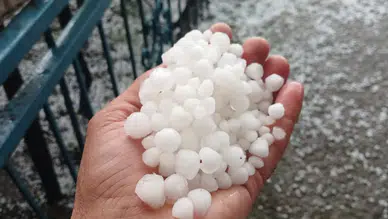 Malatya'da sağanak ve dolu yağışı kayısı bahçelerine zarar verdi