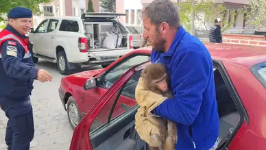 Yozgat'ta maymun bulundu, koruma altına alındı