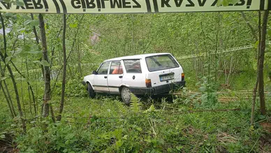 Ordu'da otomobil fındık bahçesine girdi, sürücü hayatını kaybetti