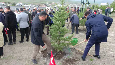 Ardahan'da Şehit ve Gazi Ormanı açıldı : Fidanlar toprakla buluştu