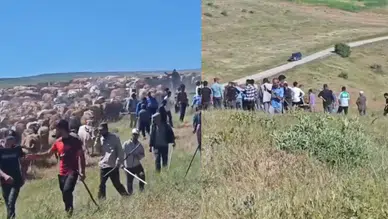 Muş'ta iki köy arasında arazi kavgası : 2 kişi yaralı