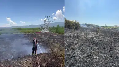 Mersin Mut'ta 15 dönümlük bahçe yandı