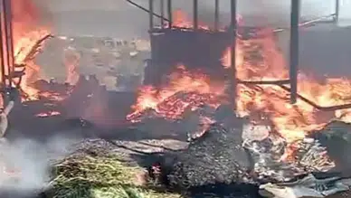 Kahramanmaraş'ta ahır yandı