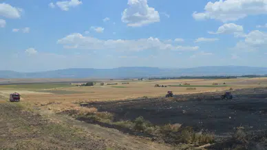 Amasya'da buğday ekili arazide yangın : 40 dönüm arazi zarar gördü