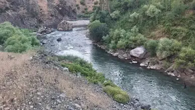 Bitlis'te dereye giren 3 kardeşi ölüm ayırdı