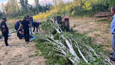 Isparta'da tarla temizliği sırasında kaza : Kestiği ağacın altında kalan adam hayatını kaybetti