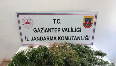 Gaziantep'te uyuşturucu ile mücadele operasyonu