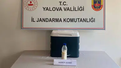 Suriye'den Yalova'ya getirilen 5 milyon dolarlık akrep zehri ele geçirildi : Değeri dudak uçuklattı