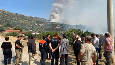 Aydın'da zeytinlik ve otluk alanda yangın çıktı