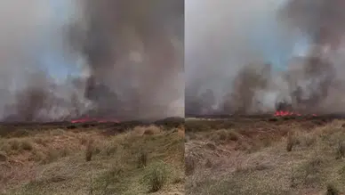 Denizli Acıpayam'da tarlada yangın çıktı