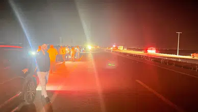 Adıyaman'da otomobilin çarptığı sürüdeki 12 küçükbaş hayvan telef oldu