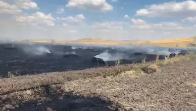 Yozgat'ta otluk alanda çıkan yangın buğday tarlalarına sıçradı