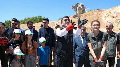 Tunceli'de kene mücadelesi : 500 keklik doğaya salındı