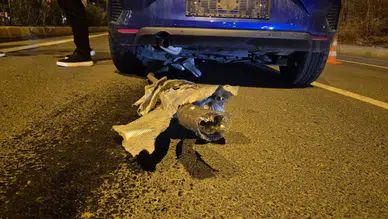 Tekirdağ'da açık rögar kapağı kazaya neden oldu