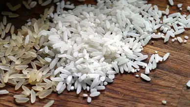 Çankırı’nın asırlık lezzeti tescillendi ! Ilgaz pirinci resmen koruma altında