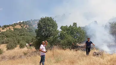 Mardin Ömerli'de ormanlık alanda yangın