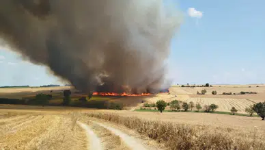 Kırklareli Babaeski'de buğday tarlasında yangın : 600 dönüm arazi zarar gördü