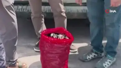 Yalova'da 3 bin kilogram kaçak midye ele geçirildi
