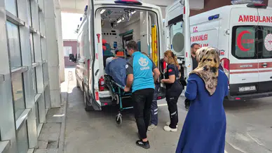 Adıyaman'da incir toplarken ağaçtan düştü ! Hastaneye kaldırıldı