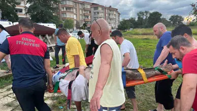 Ordu'da denizde boğulma tehlikesi geçiren 3 kişi hastaneye kaldırıldı