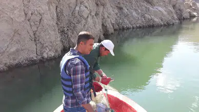 Van'da sazangiller için uygulanan av yasağı sona erdi : Tarım İl Müdürlüğü'nden uyarı
