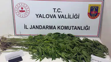 Yalova'da uyuşturucu operasyonu : 3 şüpheli gözaltına alındı