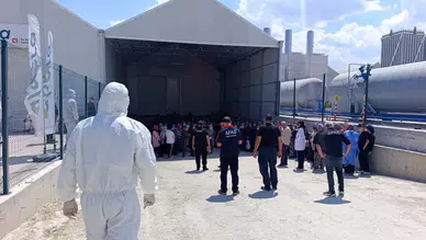 Domates serasında zehirlenme