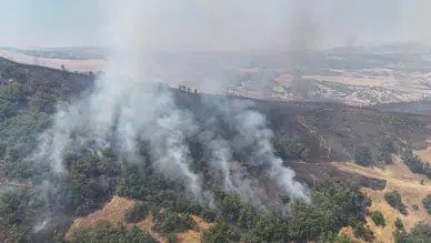 Tunceli'de orman yangını : Havadan ve karadan müdahale sürüyor