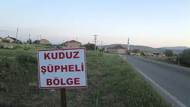 Ardahan'da alarm ! Büyükbaş hayvanda kuduz tespit edildi, bölge karantinaya alındı
