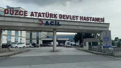 Düzce'de otomobil kamyona arkadan çarptı : 1 kişi yaralandı