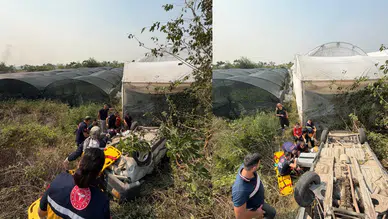Osmaniye'de otomobil tarlaya uçtu : 3 kişi yaralandı
