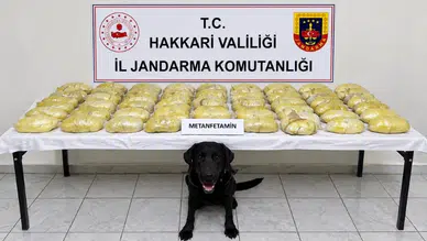 Hakkari'de yabancı plakalı tırda 21 kilo 700 gram metamfetamin ele geçirildi