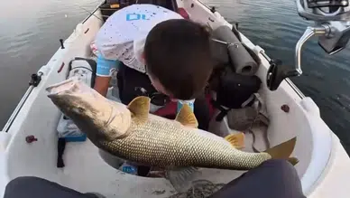 Elazığ'da dev av