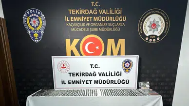 Tekirdağ'da Tarihi Eser Kaçakçılığı Operasyonunda Binlerce Eser Ele Geçirildi