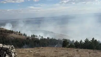 Eskişehir'de orman yangını kontrol altına alındı