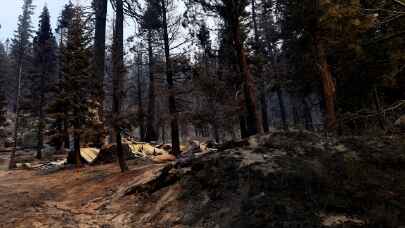 ABD’de iki haftadır devam eden ”Caldor” yangını nedeniyle California ve Nevada’da acil durum ilan edildi