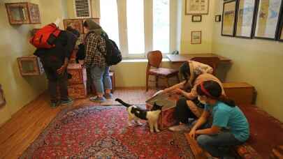 Tahran’daki sıra dışı Kedi Müzesi