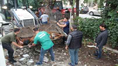 Manisa’da şehre inen yaralı yılkı atları, tedavi altına alındı