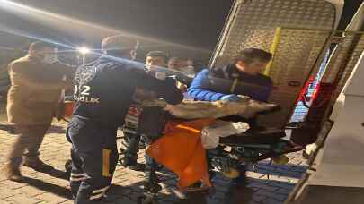 Yolda yaralı buldukları köpeği ambulansla veterinere götürdüler