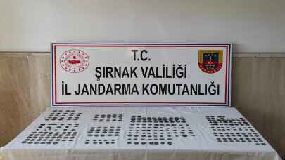 Şırnak’ta tarihi eser operasyonunda 503 sikke ele geçirildi